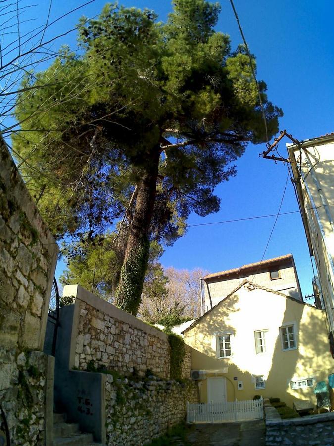 דירות Stone House טרביניה מראה חיצוני תמונה